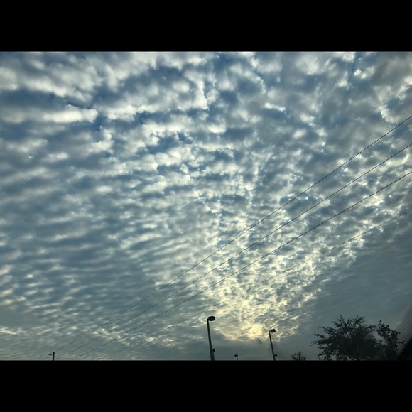 Meet your Posher, Jacob - Picture 1 of 1